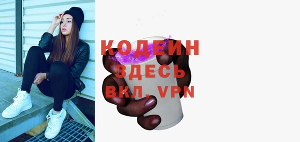индика Абинск