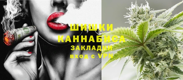 индика Абинск
