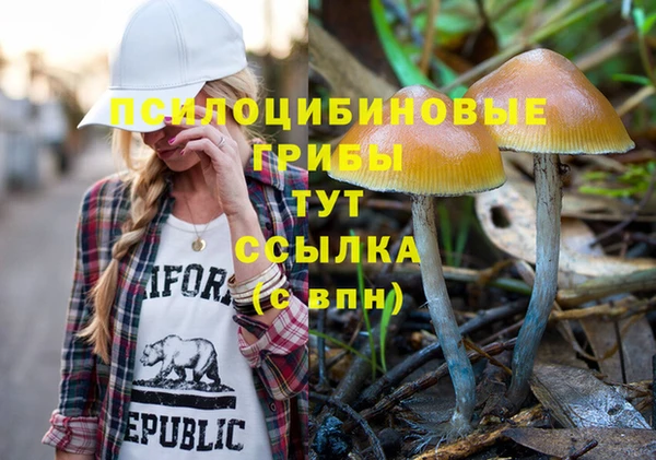 индика Абинск
