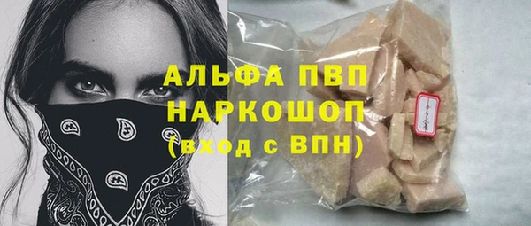 индика Абинск