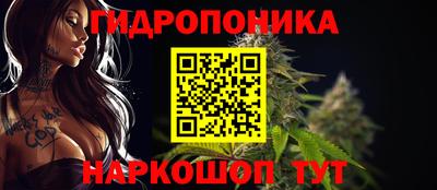 apvp Нягань