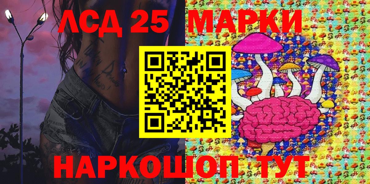 Наркотические марки 1500мкг  Вход с VPN  Скопин  Наркотические марки 1500мкг 