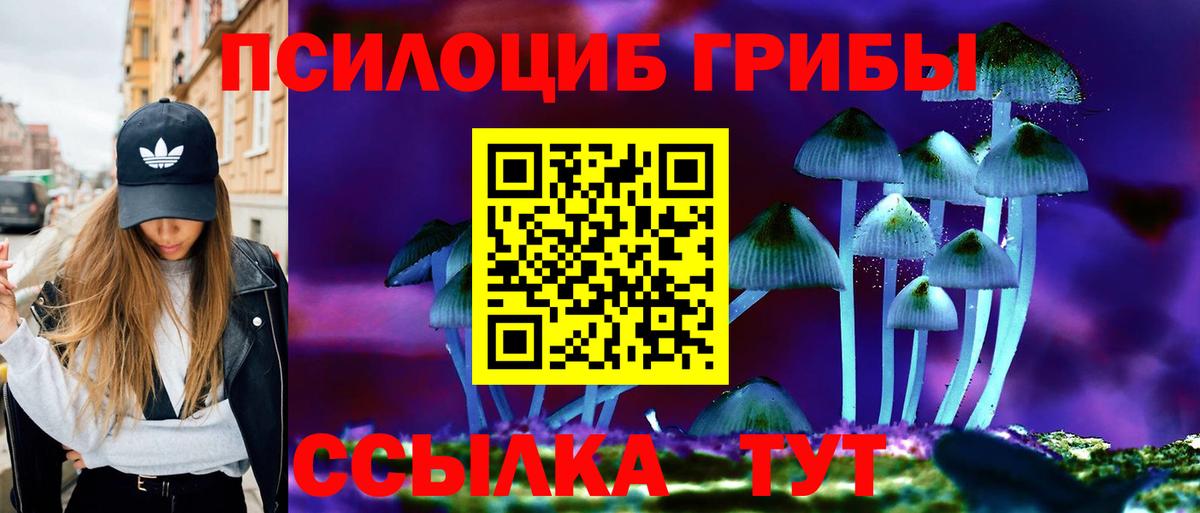 Псилоцибиновые грибы прущие грибы Скопин